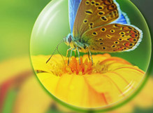 91免费视频污欧美镜片